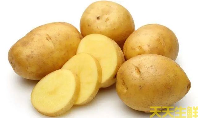 广州送菜公司教大家一些挑选蔬菜的方法(图2) 广州送菜公司教大家一些挑选蔬菜的方法(图2)