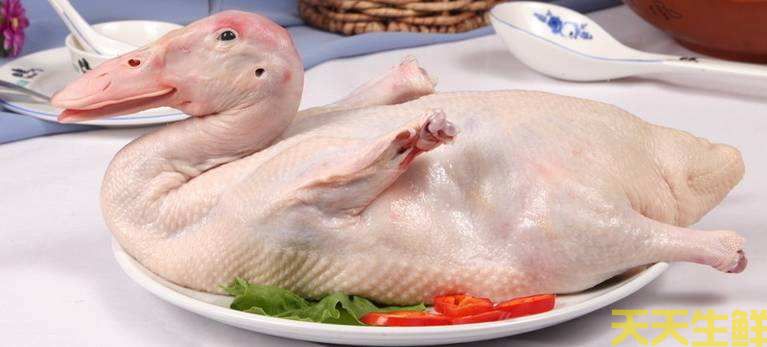 ȳʲôã߲͹˾Ƽ8ʳ(ͼ9)